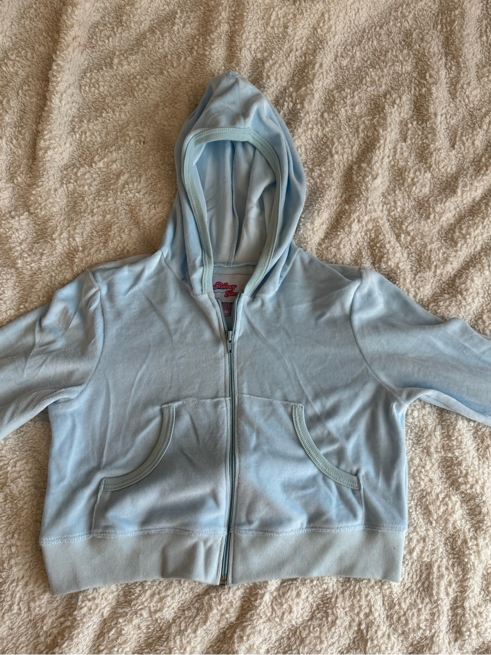 Baby blue terry velour cropped hoodie